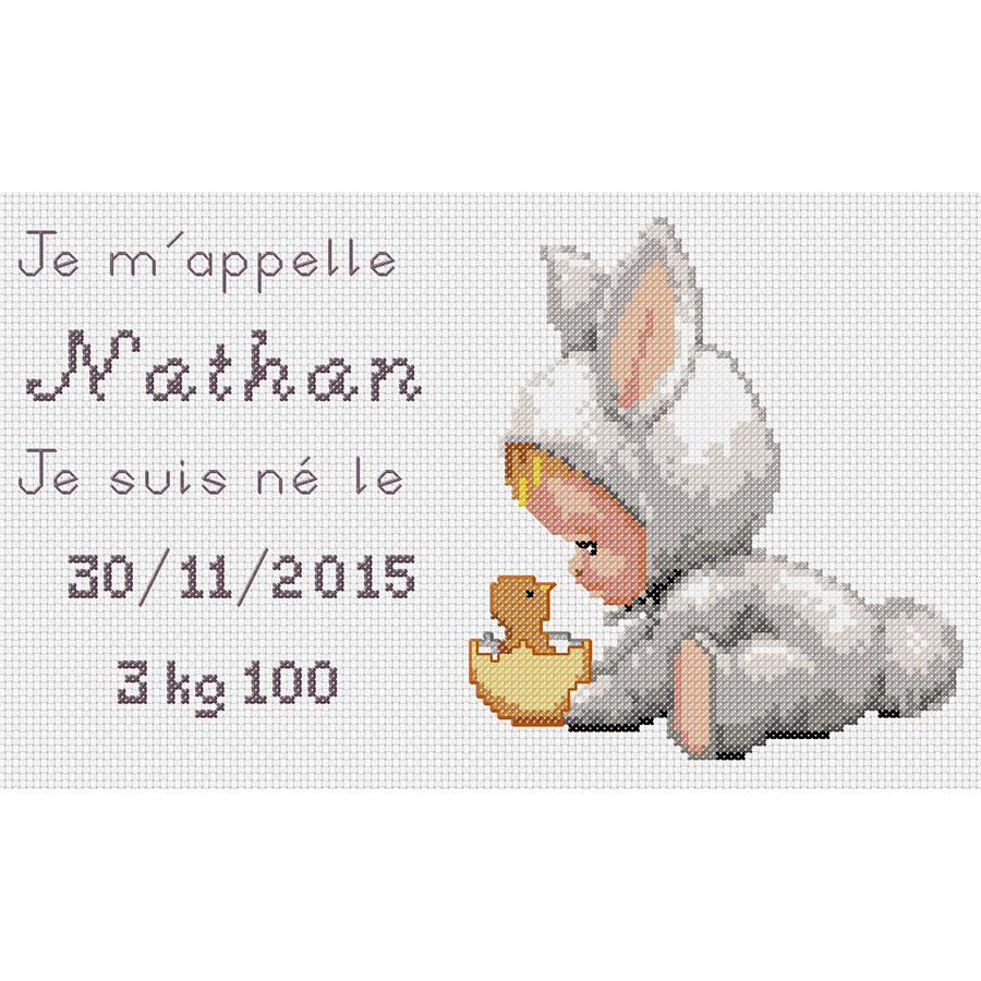 Kit Point De Croix Plaquette De Naissance Nathan Luc Creations