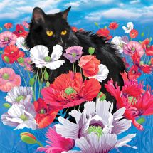 Kit de broderie Diamant - Collection d'Art - Chat parmi les coquelicots