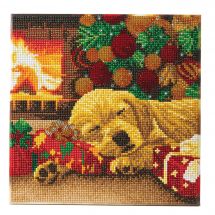 Kit de broderie Diamant sur châssis - Crystal Art D.I.Y - Sieste du labrador