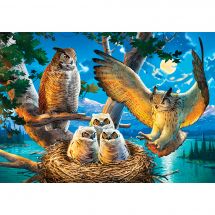 Puzzle  - Castorland - Famille Hibou - 500 pièces