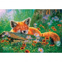 Puzzle  - Castorland - Rêves de renard - 500 pièces