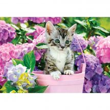 Puzzle  - Castorland - Chaton dans le panier - 1500 pièces