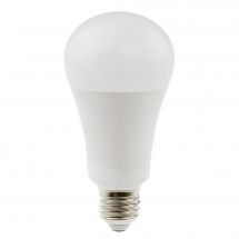 Ampoules - Daylight - Ampoule 15W LED bulb à vis