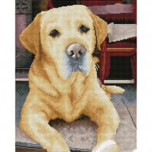 Kit de broderie Diamant - Diamond Dotz - Portrait de labrador