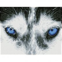 Kit de broderie Diamant - Diamond Dotz - Husky mystérieux