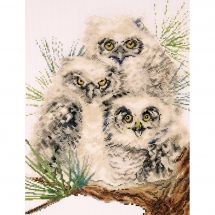 Kit broderie point de croix - Design works - Trio de chouettes