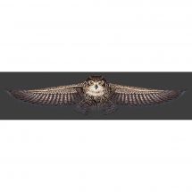 Kit broderie point de croix - Hobby Jobby - Le hibou