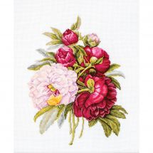 Kit broderie point de croix - Luca-S - Bouquet de pivoines