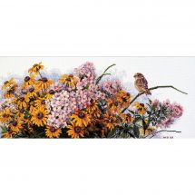 Kit broderie point de croix - Merejka - Rudbeckie et phlox des jardins