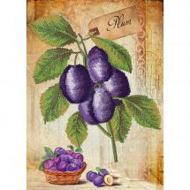 Kit broderie point de croix - Nova Sloboda - Fruits - prunes