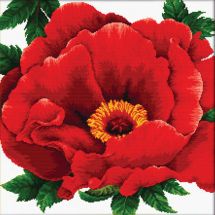 Kit broderie point de croix - Ladybird - Pivoine rouge