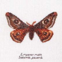 Kit broderie point de croix - Thea Gouverneur - Papillon empereur