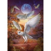 Puzzle  - Art Puzzle - Chouettes de minuit - 1000 pièces