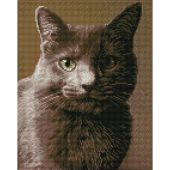 Kit de broderie Diamant - Diamond Dotz - Chat gris