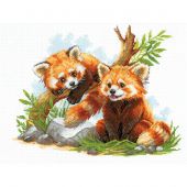 Kit broderie point de croix - Riolis - Pandas roux