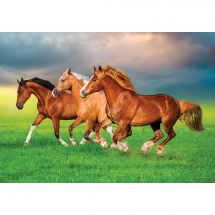 Puzzle  - Castorland - Chevaux dans le pré - 500 pièces