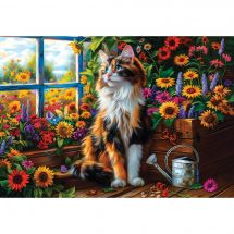 Puzzle  - Castorland - Méditation du chat - 1000 pièces