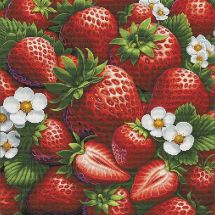 Kit broderie point de croix - Nova Sloboda - Paradis de fraises