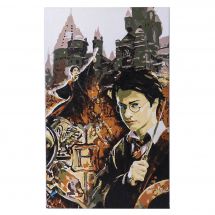 Kit de peinture par numéro - Craft Buddy - Harry Potter