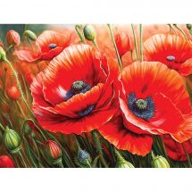 Kit de broderie Diamant - Wizardi - Coquelicots