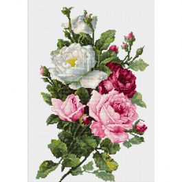 Kit complet canevas 15 x 20 cm motif roses bouquet de fleurs - Pas